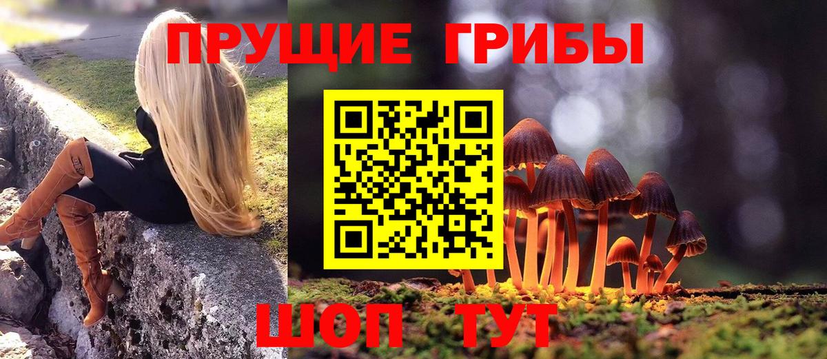 как найти   Вход с VPN  Галлюциногенные грибы ЛСД  Артёмовский  Псилоцибиновые грибы прущие грибы 